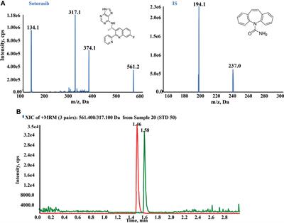 Integrative Analysis of Pharmacokinetic and Metabolomic Profiles for Predicting Metabolic Phenotype and Drug Exposure Caused by Sotorasib in Rats